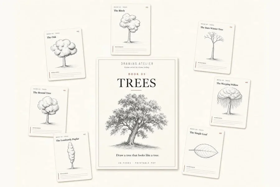 Workbook preview 03: Trees